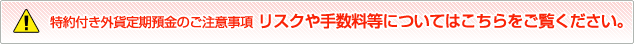 特約付き外貨定期預金のご注意事項&nbsp;リスクや手数料等についてはこちらをご覧ください。