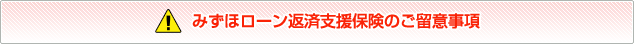 みずほローン返済支援保険のご留意事項