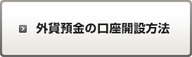 外貨預金のお取り引き方法