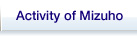 Activity of Mizuho