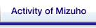 Activity of Mizuho