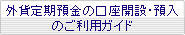 外貨定期預金の口座開設・預入のご利用ガイド