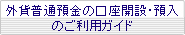 外貨普通預金の口座開設・預入のご利用ガイド
