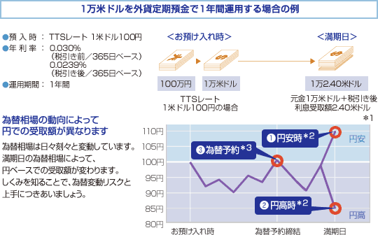 1万米ドルを外貨定期預金で1年間運用する場合の例