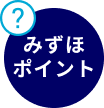 みずほポイントとは