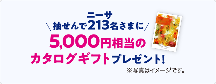 抽せんで213名さまに5,000円相当のカタログギフトプレゼント！ *写真はイメージです。