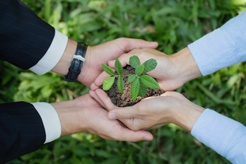 記事サムネイル画像