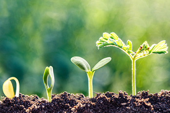 記事サムネイル画像