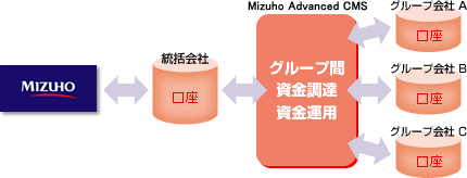 「Mizuho Advanced CMS」概要図