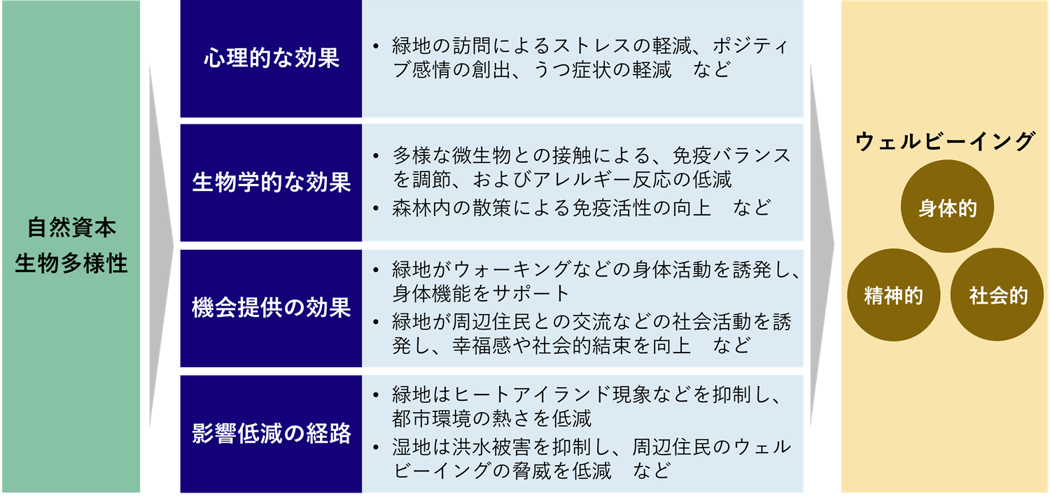 図1