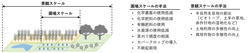 図1