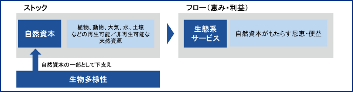 図表1