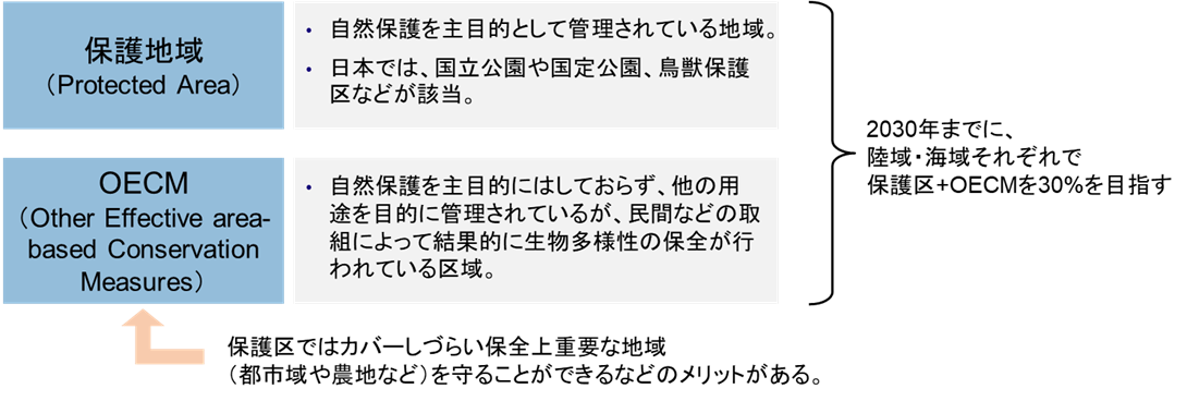 図1