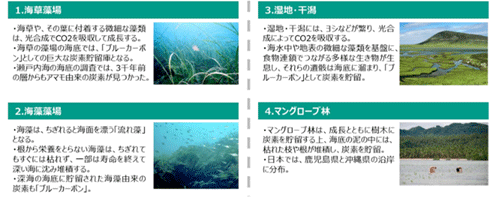 図表11