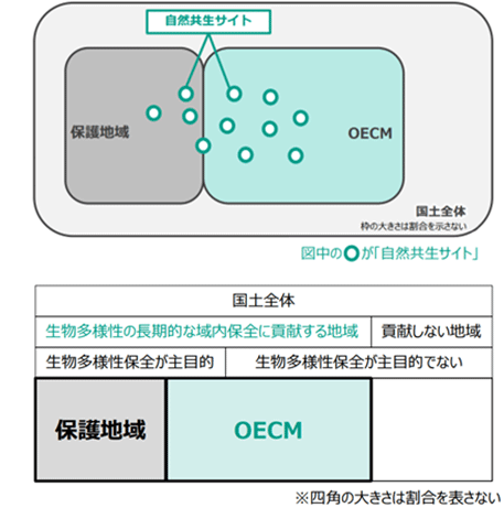 図表12