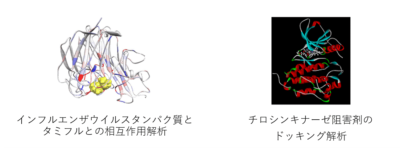 インフルエンザウイルスタンパク質とタミフルとの相互作用解析 / チロシンキナーゼ阻害剤のドッキング解析