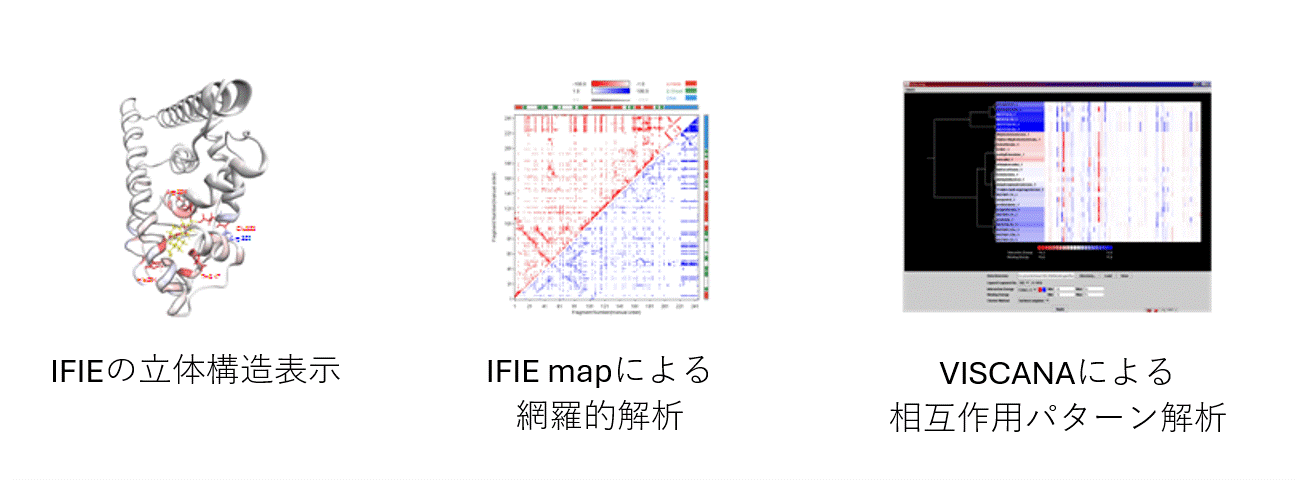 IFIEの立体構造表示 / IFIE mapによる網羅的解析 / VISCANAによる相互作用パターン解析