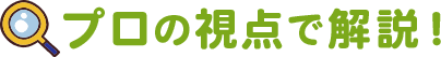 プロの視点で解説!