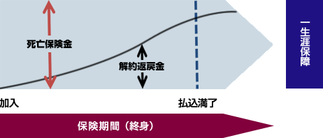 平準払終身保険の仕組図（イメージ）