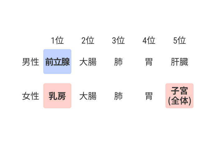 部位別がん罹患数順位。男性：1位前立腺、2位大腸、3位肺、4位胃、5位肝臓。女性：1位乳房、2位大腸、3位肺、4位胃、5位子宮（全体）。