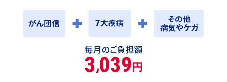 がん団信+7大疾病+その他病気やケガ 毎月のご負担額 3,039円