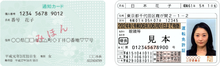 通知カード+運転免許証のイメージ