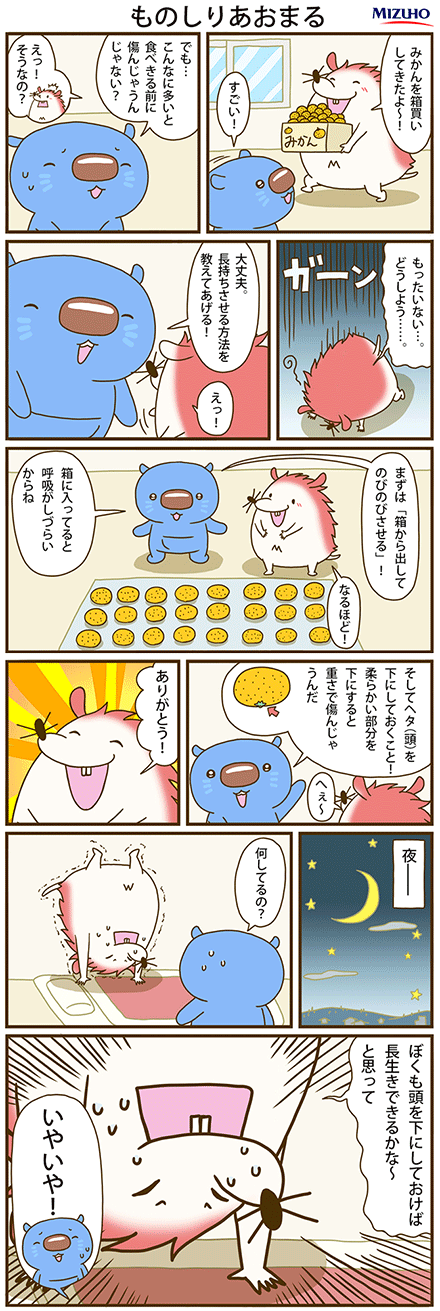 ものしりあおまる