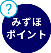 みずほポイント