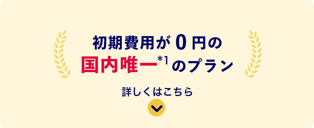 初期費用が0円の国内唯一*1のプラン 詳しくはこちら