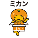 抽せん結果案内詳細(着せかえクーちゃん) | みずほ銀行